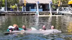 Teen struggling with rare condition swims with dolphins as part of Make A Wish Southern Florida’s mission